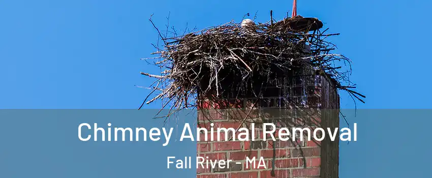  Chimney Animal Removal Fall River - MA