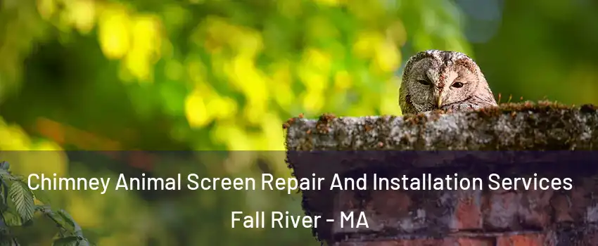  Chimney Animal Screen Repair And Installation Services Fall River - MA