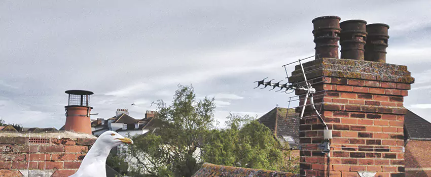 Chimney Cleaning And Restoration in Fall River, Massachusetts